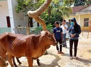Bình Phước giúp dân thoát nghèo bền vững