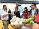 Nông sản Việt tăng tốc vào EU nhờ thuế 0%