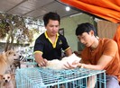 Biệt đội giải cứu chó mèo ở Tây Nguyên
