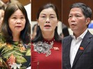 Chặn ngay việc lợi dụng thủy điện để triệt phá rừng
