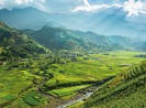 Những thung lũng buồn thiu