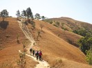 Trekking đi tìm món quà vô giá từ rừng