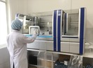 Quảng Nam bắt đầu thanh tra vụ mua máy Realtime PCR 7,23 tỉ
