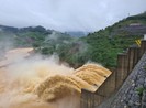 Quảng Nam thu hồi quyết định cho thủy điện Đắk Di 2 thuê đất