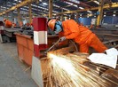 Nghề nào ảnh hưởng xấu tới chức năng sinh sản của nam giới?