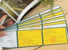 Từ 1-3: GPLX hết hạn, chủ xe bị từ chối bồi thường bảo hiểm