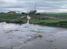 'Máy bay trượt khỏi đường băng có thể do lỗi phi công'