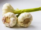 Ăn tỏi mọc mầm có an toàn?
