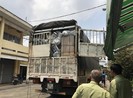 Mật phục tóm gọn xe tải chở hàng không nguồn gốc