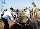 TP.HCM: Không đánh đổi môi trường lấy tăng trưởng kinh tế