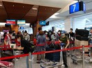 Hơn 300 công dân Việt Nam từ Đài Loan về nước