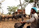 Nhiều lãnh đạo ở TP.HCM bị phê bình vì dự án Safari