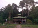 Bí ẩn cung đường đến vương quốc cá sấu giữa rừng Cát Tiên