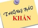 Người dự tiệc cưới Adora Nguyễn Kiệm ngày 30-1 liên hệ y tế