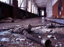 Phát hiện mới về hiệu ứng thảm họa hạt nhân Chernobyl
