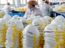 Ngành sản xuất khẩu trang Trung Quốc phát tài nhờ COVID-19
