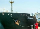 Mỹ đẩy mạnh trừng phạt đối với dầu mỏ Iran trước cuộc bầu cử