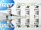 Đối tượng nào không nên tiêm vaccine COVID-19?