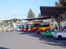 TP Cần Thơ không xảy ra tai nạn giao thông trong 7 ngày Tết