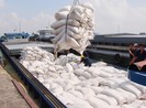 Gạo Thái kém cạnh tranh hơn gạo Việt, gạo Ấn Độ vì giá cao
