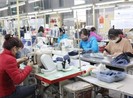 6 ngành công nghiệp có tỷ lệ hàng tồn kho lớn vì COVID-19