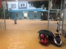 Khu vực miền núi phía Bắc đang mưa rất to, 2 người chết