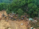 Một loạt địa phương xin chuyển mục đích sử dụng rừng tự nhiên
