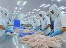 Trung Quốc siết chặt kiểm tra thủy sản đông lạnh nhập khẩu