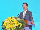 1 chiếc bánh sôcôla không còn phải cõng 13 giấy phép