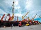 Lô thanh long khủng 2,8 tỷ 'xuất ngoại' ngày mùng 1 Tết