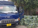 Giải cứu hàng chục ngàn con gà, quả trứng... ở Hải Dương
