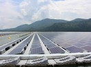EVN lo lắng hướng phát triển nguồn điện năng lượng tái tạo