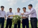 Ông Lê Minh Hoan làm Bộ trưởng Bộ NN&PTNT