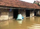 Mưa lớn làm vỡ kênh gây ngập ở Nghệ An
