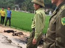 Một nghi phạm trộm chó bị dân đánh chết, đốt xe máy