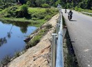 Trại heo ô nhiễm, heo chết: Phạt 320 triệu, yêu cầu khắc phục
