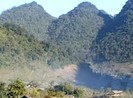 Hai giáo viên rủ nhau đi săn, một người trúng đạn tử vong