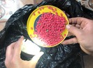 Bắt kẻ vận chuyển 500 viên hồng phiến lao xe vào cảnh sát
