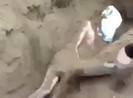 Công an đang điều tra vụ video 'chôn sống' câu like
