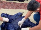 Phát hiện bộ xương người trôi dạt vào bờ biển