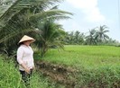 VKS thông tin vụ chấp hành viên làm sai, dân lãnh đủ