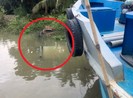 Sà lan đụng chìm 2 ghe, 1 người tử vong