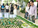 Làn sóng 'thâu tóm' bất động sản gia tăng