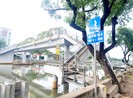 TP.HCM: Sẽ rà soát, xử lý các điểm phức tạp về ma túy