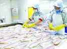 Nông, thủy sản Việt kẹt đường sang Trung Quốc