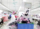 Bộ LĐ-TB&XH bác đề xuất tăng lương tối thiểu vùng