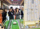 Rủi ro khi đầu tư đất đai qua app chỉ với… 1 triệu đồng