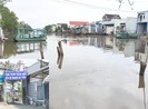 Dời bến phà 25 m, xã mất tiền tỉ mỗi năm
