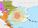 Bão số 7 sắp vào các tỉnh từ Quảng Ninh đến Nghệ An