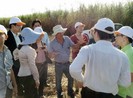 Doanh nhân Việt đầu tư ra nước ngoài: Khó ở đâu?